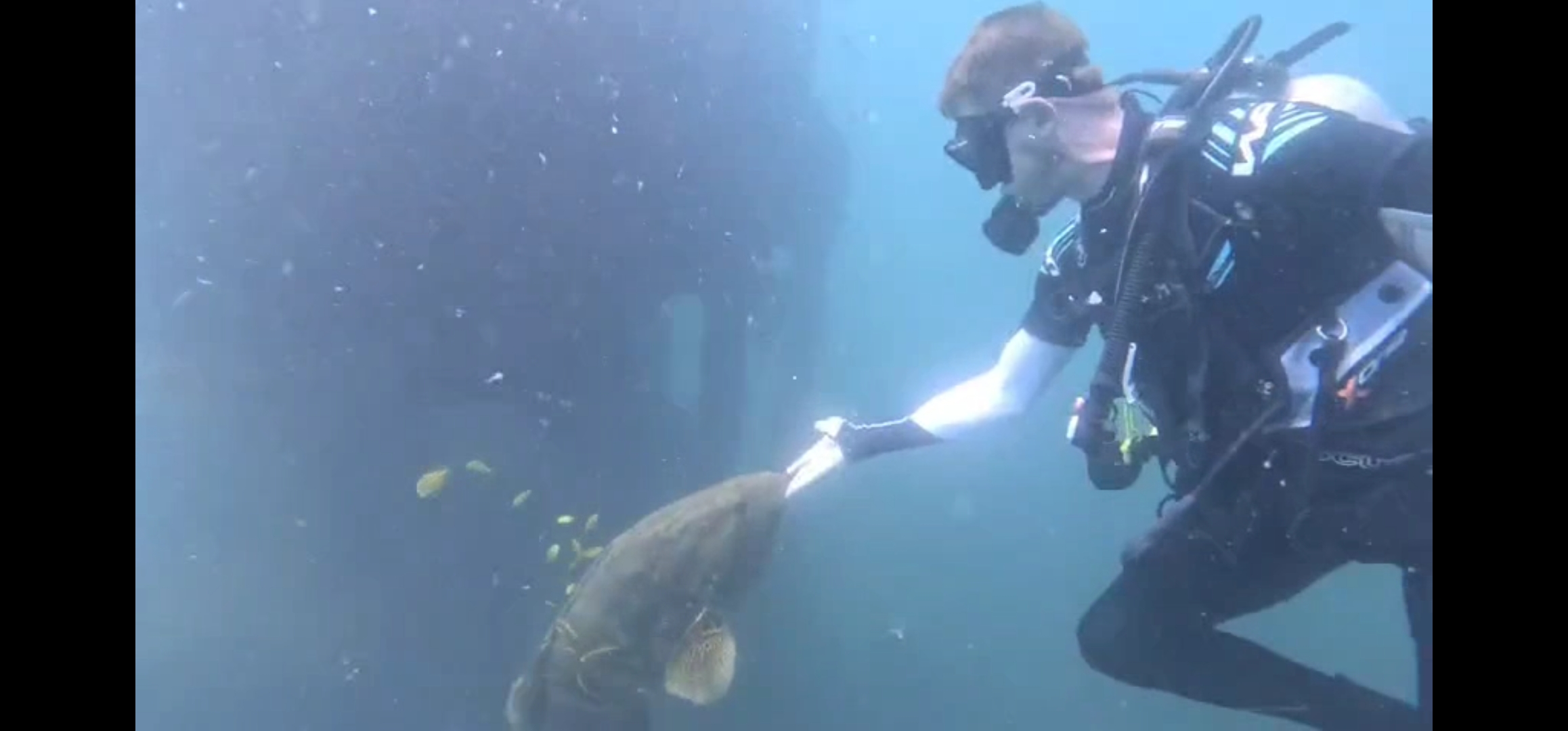 Shane Thomas Strough — Advanced Open Water dive, El Salvador